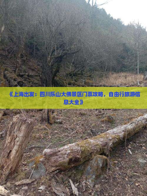 《上海出发：四川乐山大佛景区门票攻略，自由行旅游信息大全》
