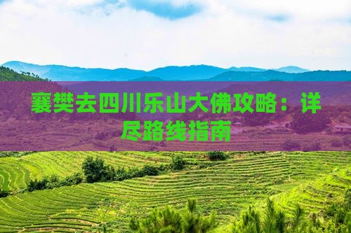 襄樊去四川乐山大佛攻略：详尽路线指南