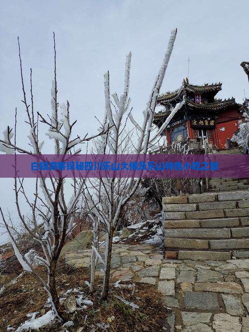 白银游客探秘四川乐山大佛及乐山特色小吃之旅