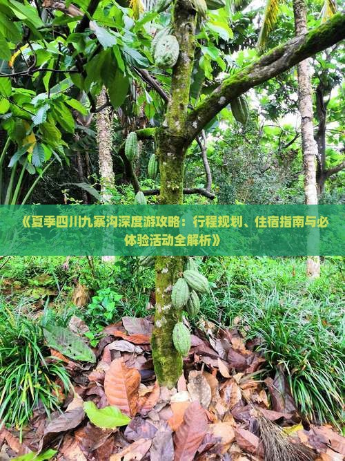 《夏季四川九寨沟深度游攻略：行程规划、住宿指南与必体验活动全解析》