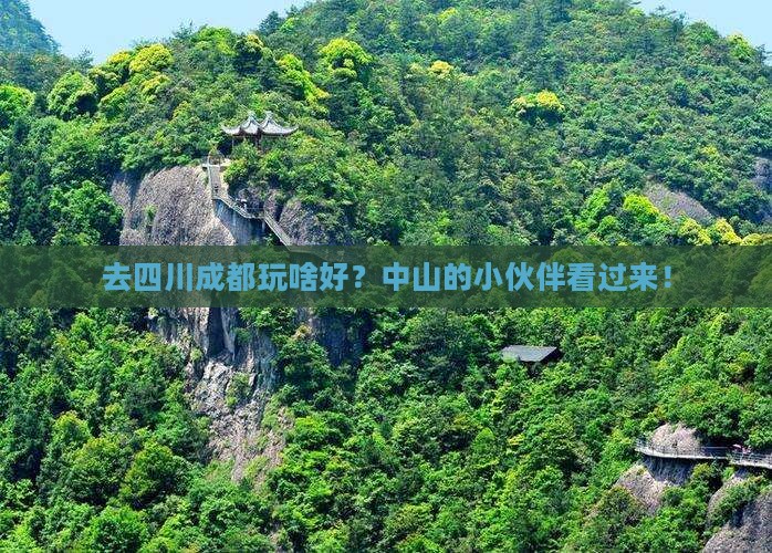 中山去四川成都景点