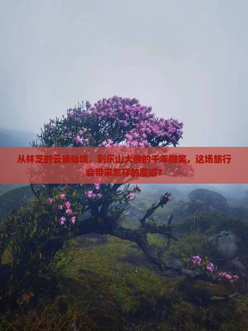 林芝到四川乐山大佛团体旅游