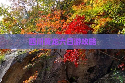 四月到四川黄龙六日游
