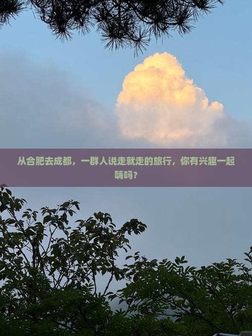 合肥到四川成都团体旅游