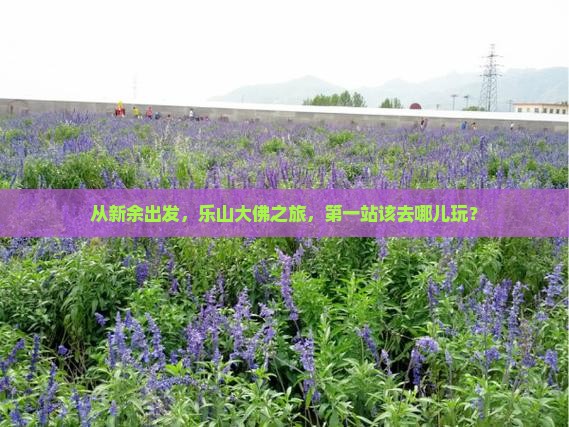 新余到四川乐山大佛哪里玩