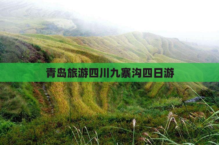 青岛去四川九寨沟四日游