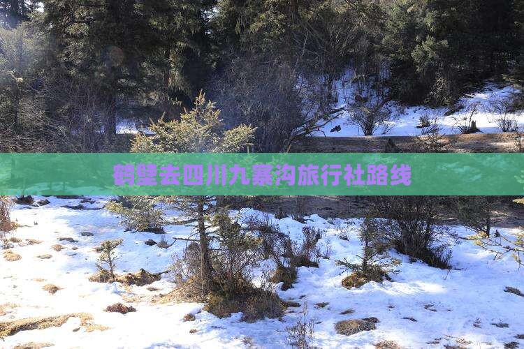 鹤壁去四川九寨沟旅行社