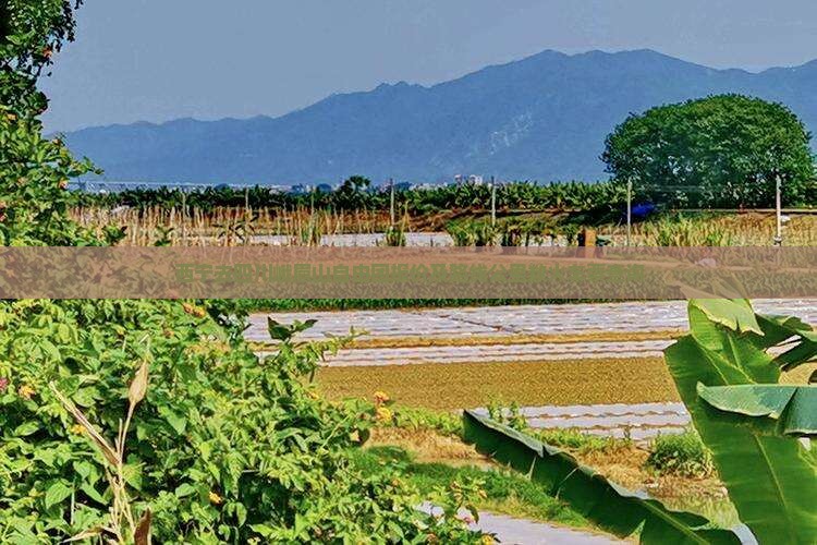 西宁去四川峨眉山自由团
