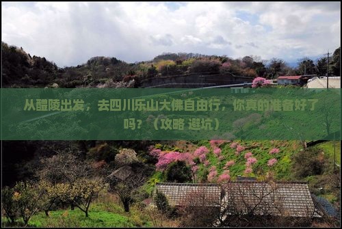 醴陵去四川乐山大佛自由行