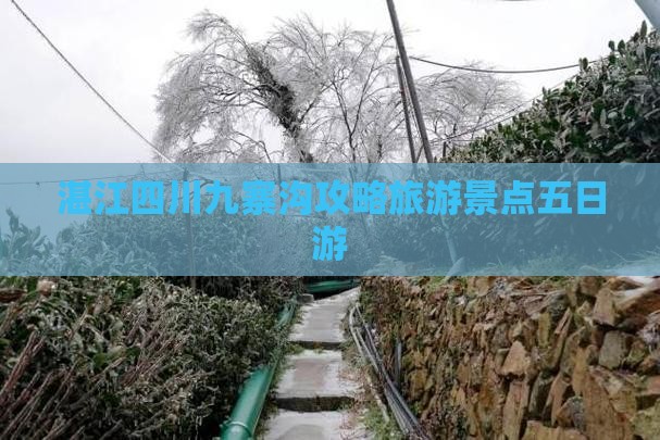 湛江去四川九寨沟五日游