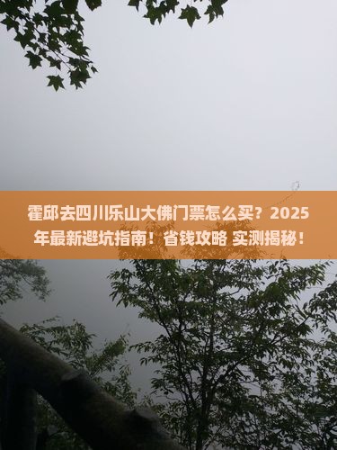霍邱去四川乐山大佛门票