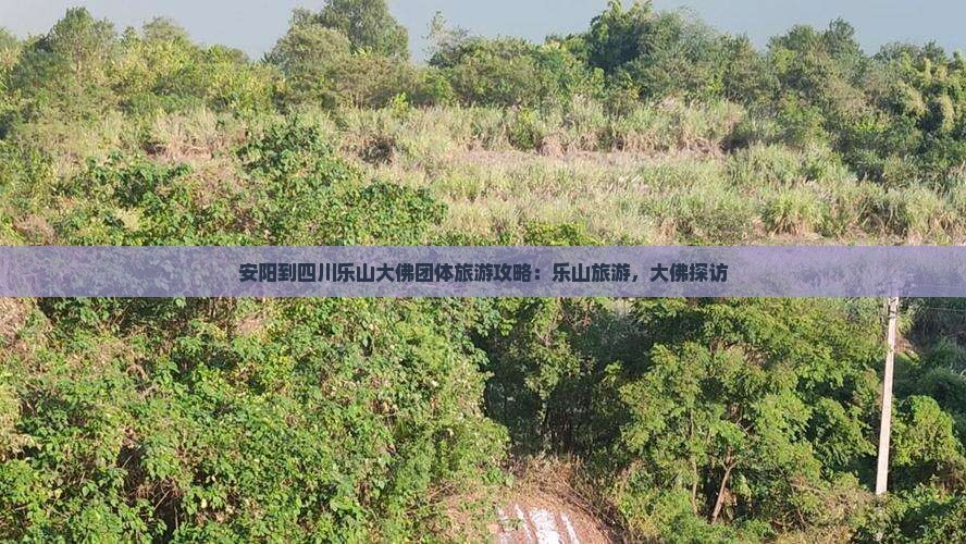 安阳到四川乐山大佛团体旅游