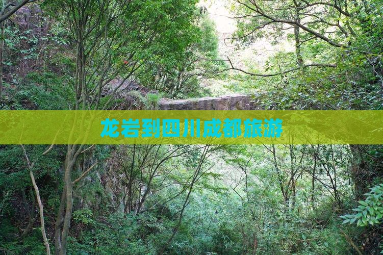 龙岩到四川成都旅游