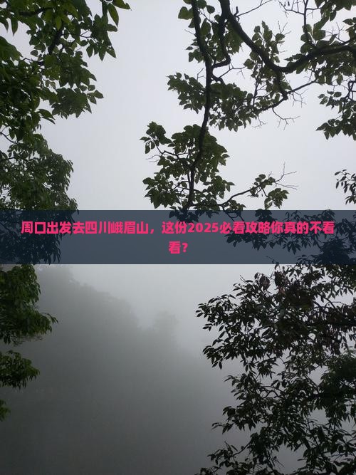 周口去四川峨眉山旅行社