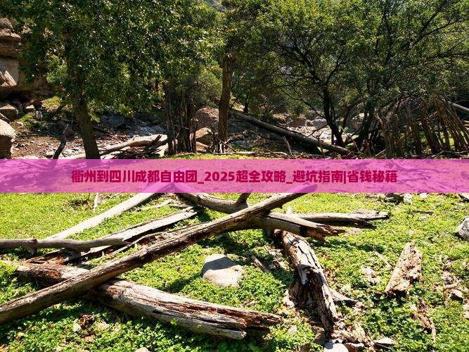衢州到四川成都自由团