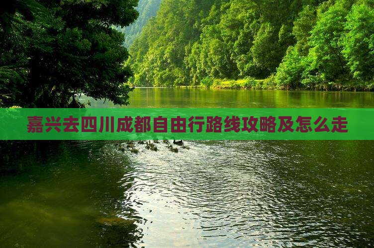 嘉兴去四川成都自由行
