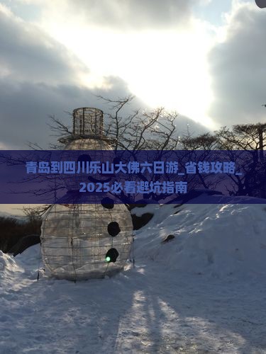 青岛到四川乐山大佛六日游