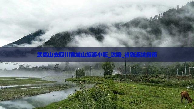 武夷山去四川青城山旅游小吃