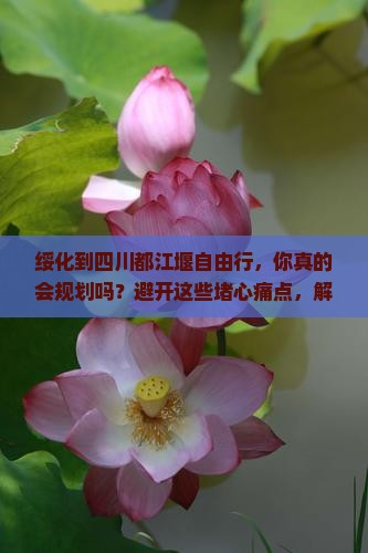绥化到四川都江堰自由行