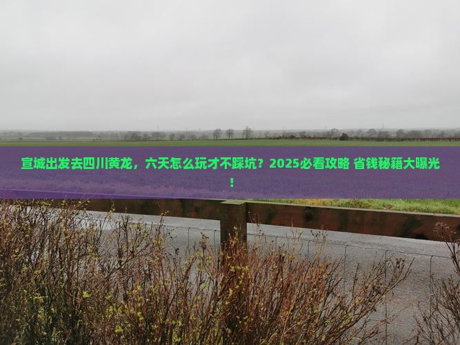 宣城去四川黄龙六日游