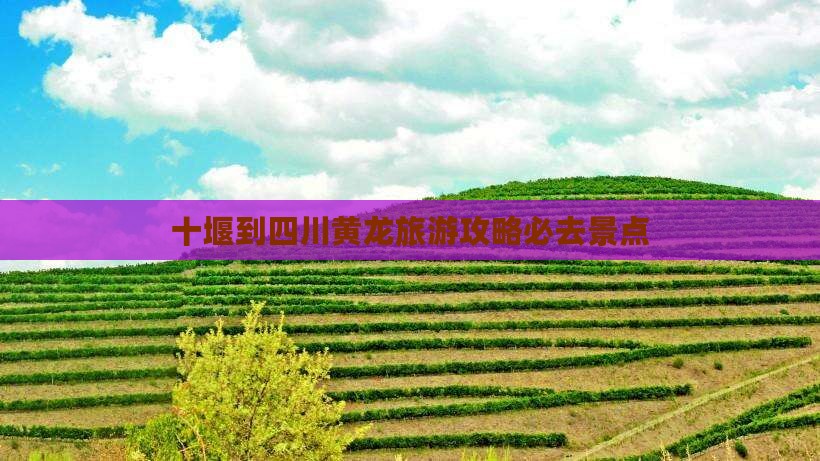 十堰到四川黄龙必去地