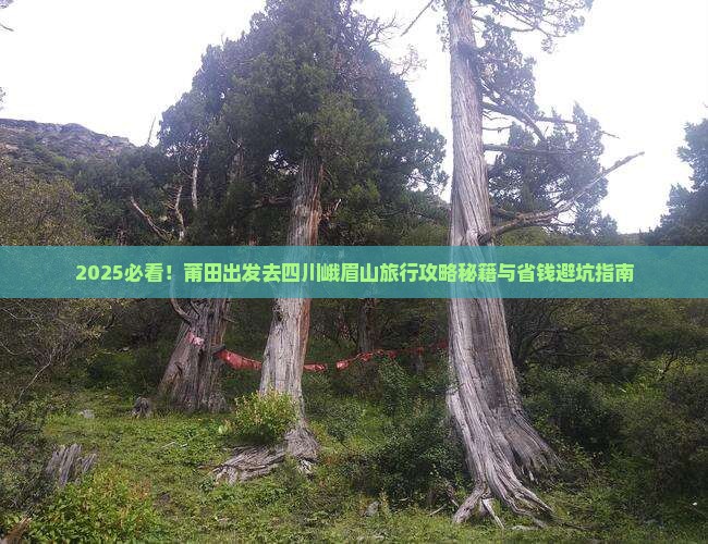 莆田去四川峨眉山旅行社