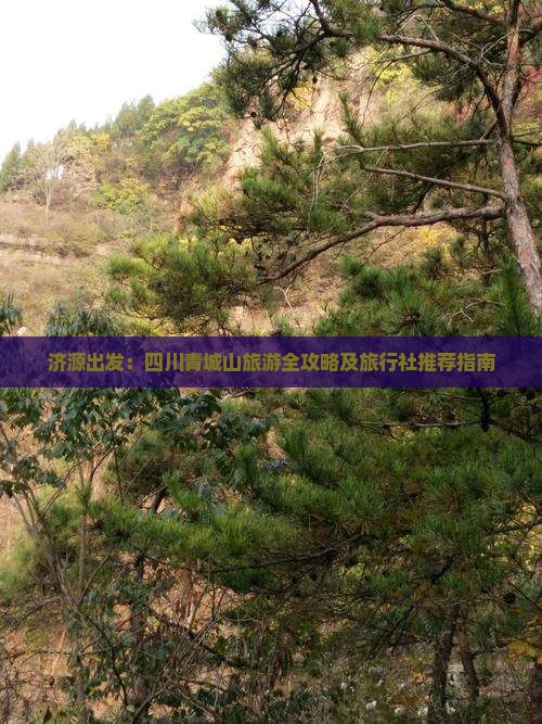 济源出发：四川青城山旅游全攻略及旅行社推荐指南
