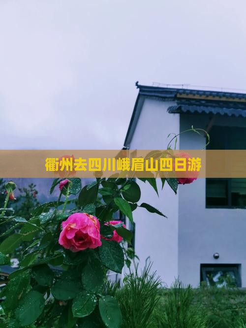 衢州去四川峨眉山四日游