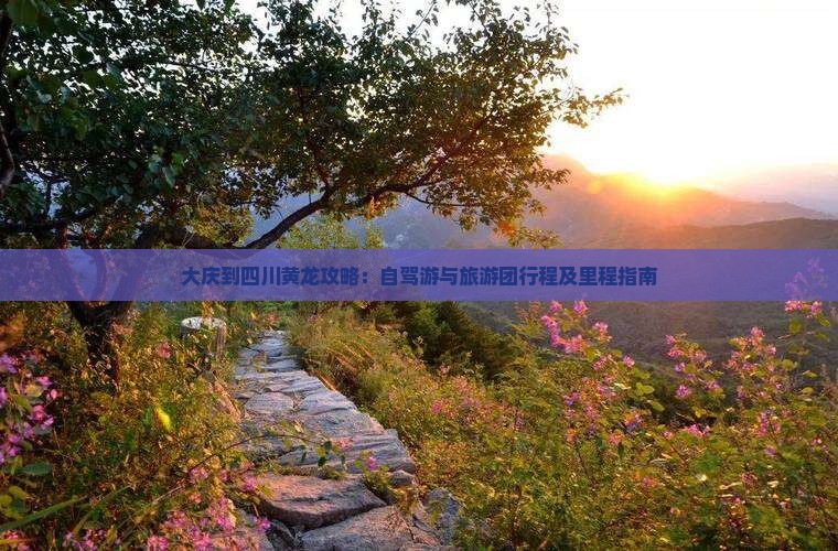 大庆到四川黄龙攻略：自驾游与旅游团行程及里程指南
