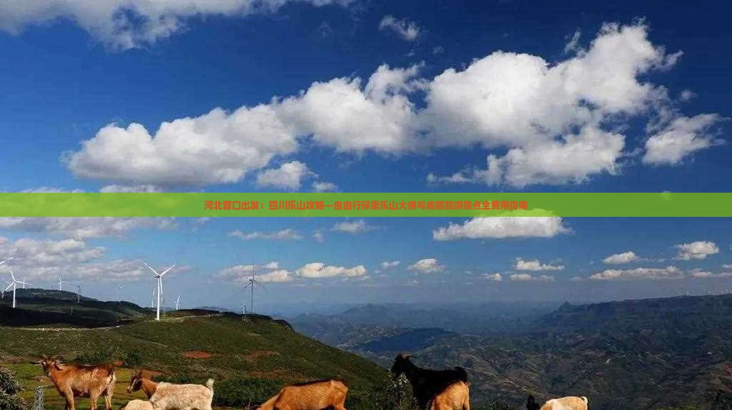 河北营口出发：四川乐山攻略—自由行探索乐山大佛与成都旅游景点全费用指南