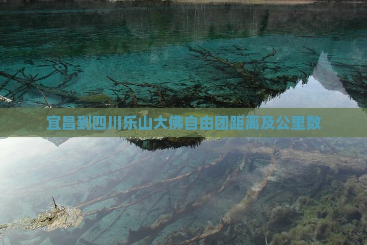 宜昌到四川乐山大佛自由团距离及公里数