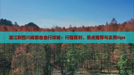 湛江到四川成都自由行攻略：行程规划、景点推荐与实用tips