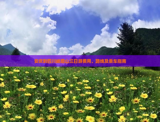安庆到四川峨眉山三日游费用、路线及乘车指南