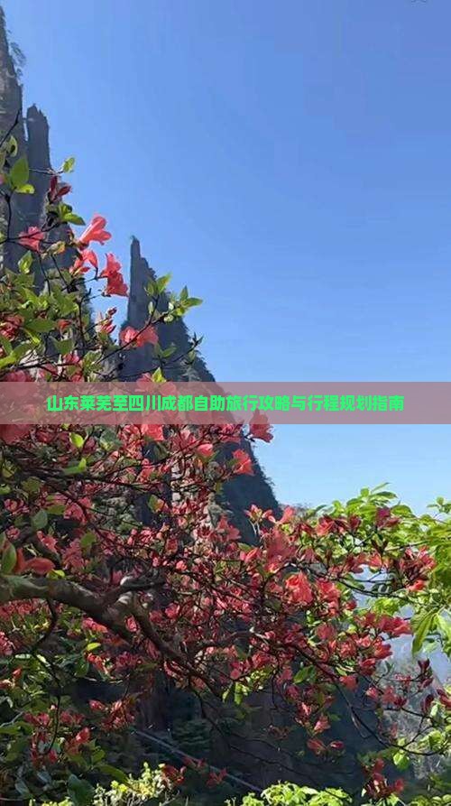 山东莱芜至四川成都自助旅行攻略与行程规划指南