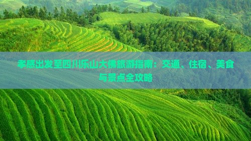 孝感出发至四川乐山大佛旅游指南：交通、住宿、美食与景点全攻略