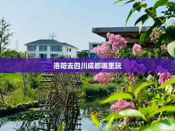 洛阳去四川成都哪里玩