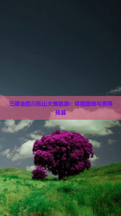 三明去四川乐山大佛旅游：详细路线与费用预算