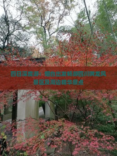 四日深度游：烟台出发畅游四川黄龙风景区及周边精华景点
