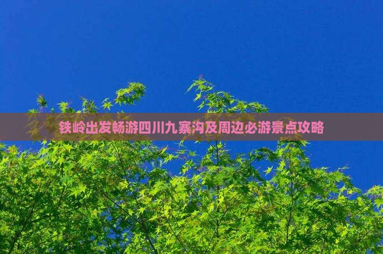 铁岭出发畅游四川九寨沟及周边必游景点攻略