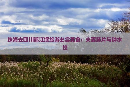 珠海去四川都江堰旅游必尝美食：夫妻肺片与钟水饺