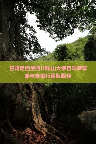 甘肃定西至四川乐山大佛自驾游攻略与自由行团队服务