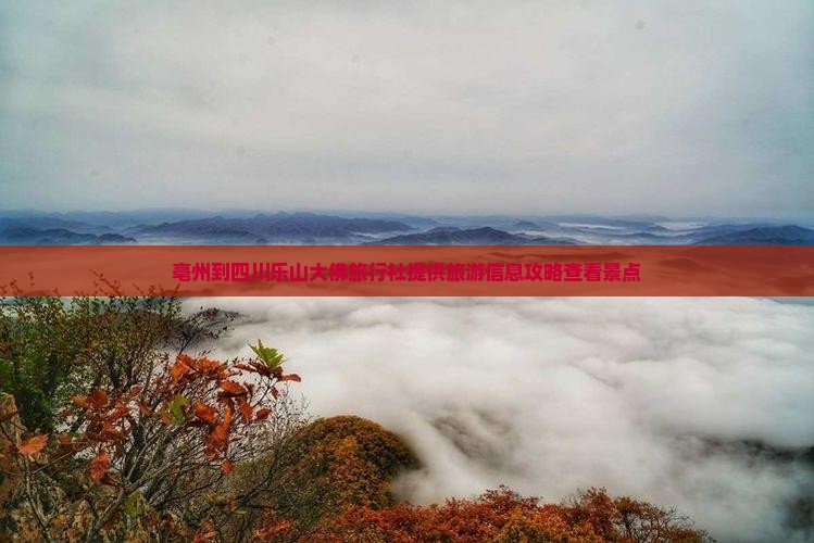 亳州到四川乐山大佛旅行社提供旅游信息攻略查看景点