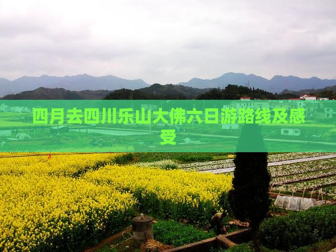 四月去四川乐山大佛六日游路线及感受