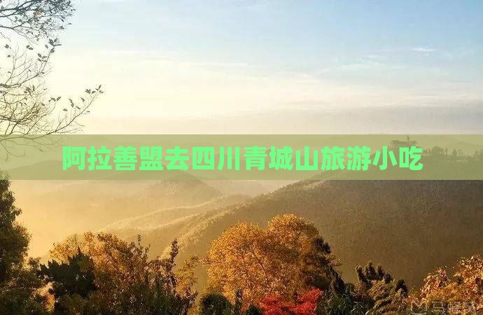 阿拉善盟去四川青城山旅游小吃