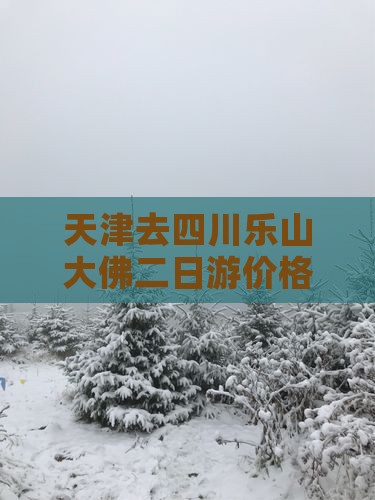 天津去四川乐山大佛二日游价格、路线