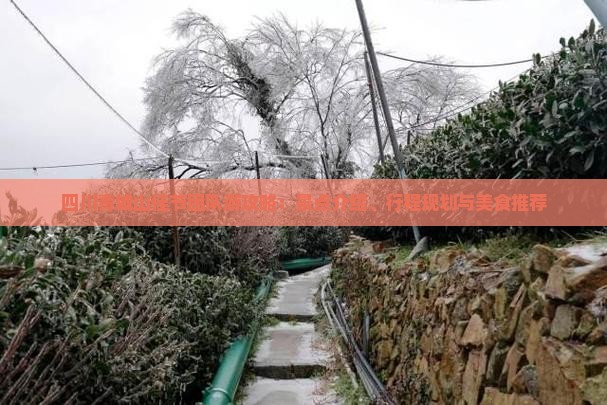 四川青城山佳节团队游攻略：景点介绍、行程规划与美食推荐
