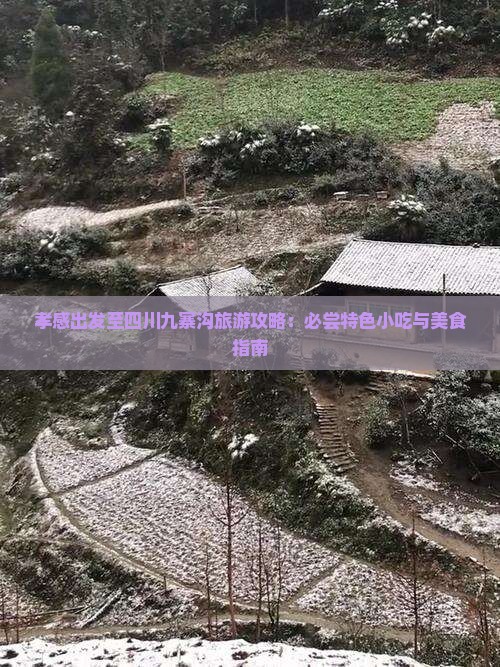 孝感出发至四川九寨沟旅游攻略：必尝特色小吃与美食指南