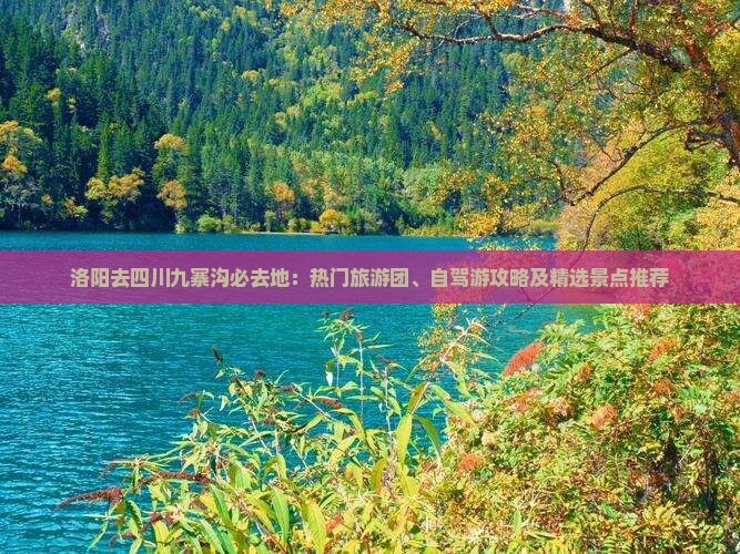 洛阳去四川九寨沟必去地：热门旅游团、自驾游攻略及精选景点推荐