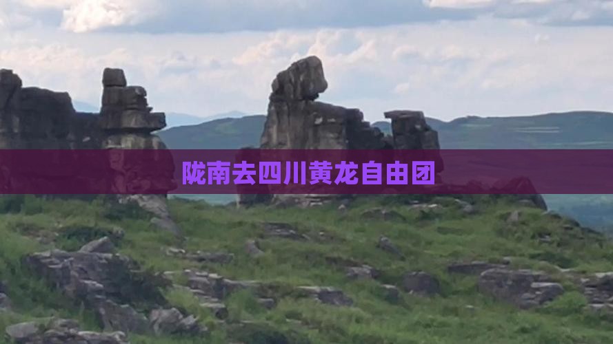 陇南去四川黄龙自由团