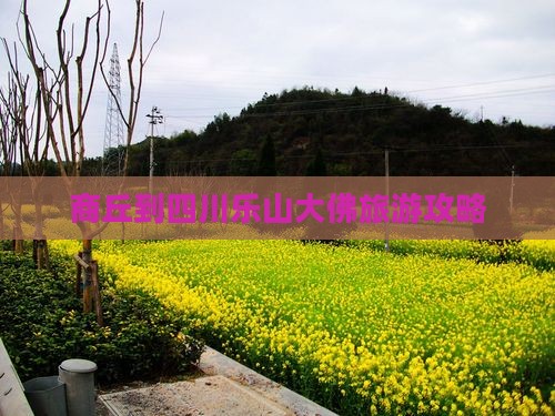商丘到四川乐山大佛旅游攻略